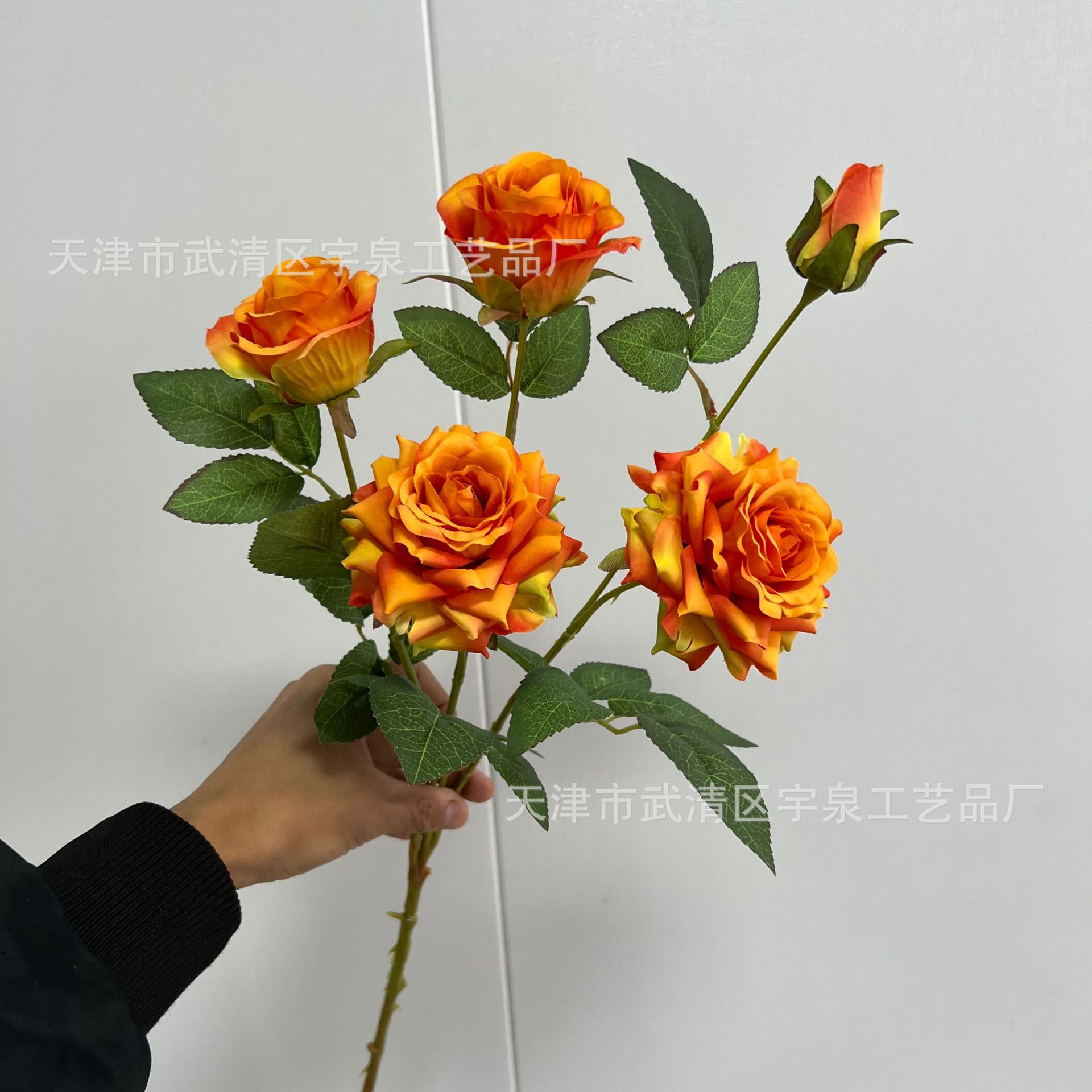 4bb23ae2b5a88fda9316e01734be9a