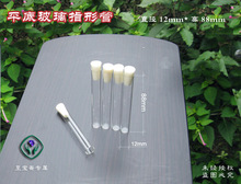 平底玻璃指形管12x88mm 生物标本器材 昆虫针开票 促销