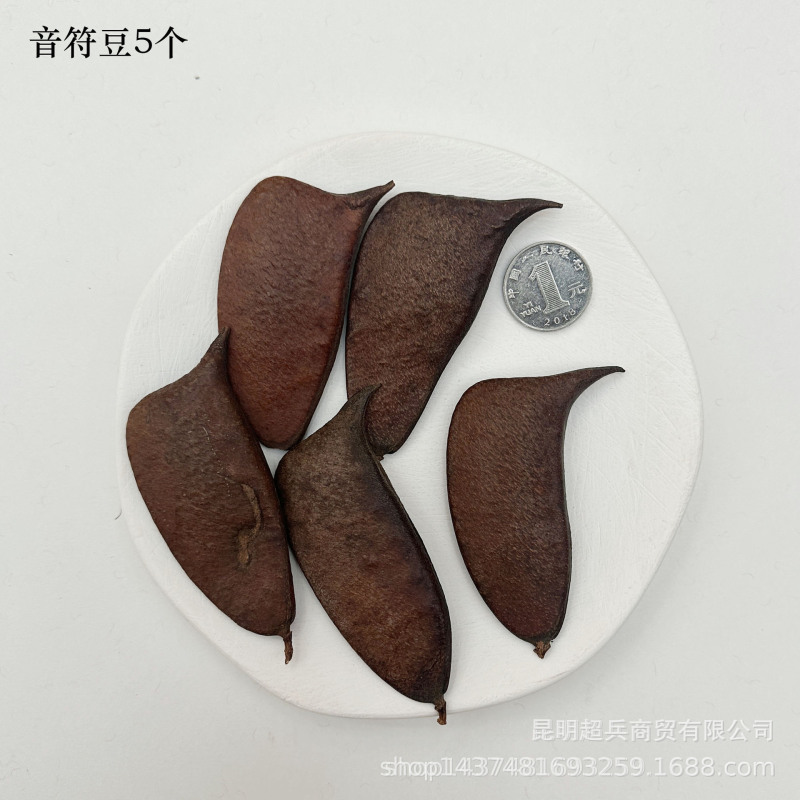 【各种果实类干花】圣诞果实类装饰品干花干果香薰蜡烛DIY橡果精|undefined