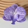 3D film mesh is purple (small)