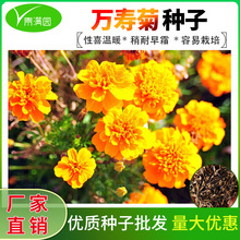 f۾շNӾջļ׻ɫܽػNԷNѻ