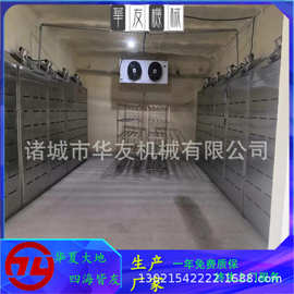猪牛羊肉类解冻机器 冻肉制品加工设备 全自动低温高湿解冻库设备