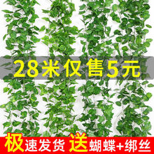 �ٻ��b��{ˮ�ܵ��ٗl�ړ����~�G�}��������bGֲ��ɭ��