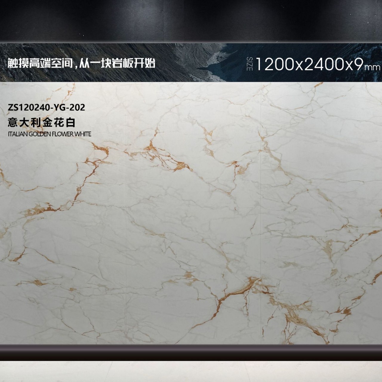 이탈리안 골든 화이트