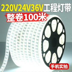 ライトストリップ LED ライトストリップ 220V 超高輝度屋外防水エンジニアリングトンネル 36V 低電圧 24V リビングルームの天井雰囲気ライト