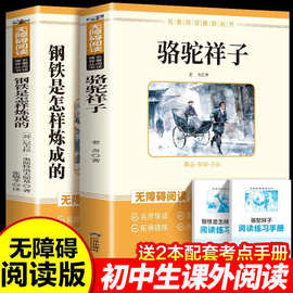 骆驼祥子和钢铁是怎样炼成的七八九年级下册必读书籍人教版