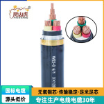 国标电线电缆 铜芯交联聚乙烯绝缘VV22钢带铠装电缆 现货批发