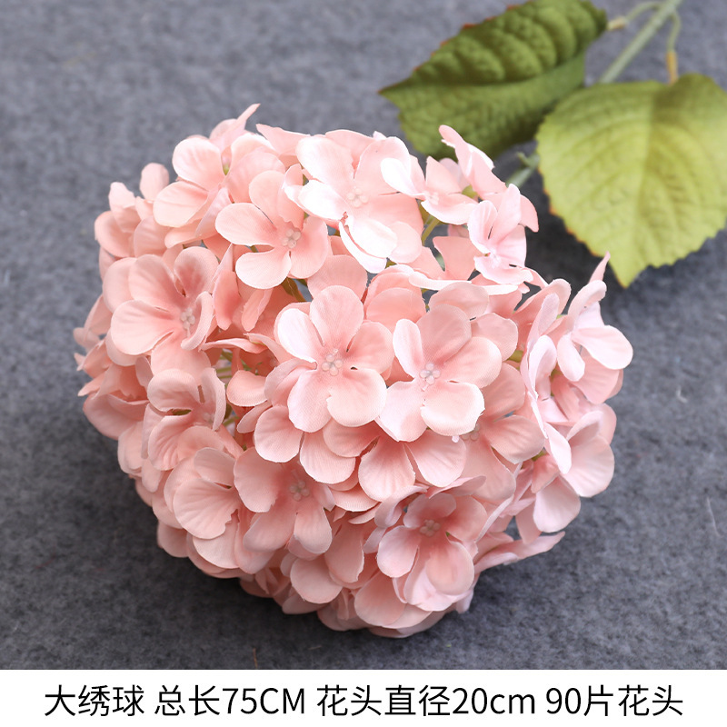 Single large hydrangea