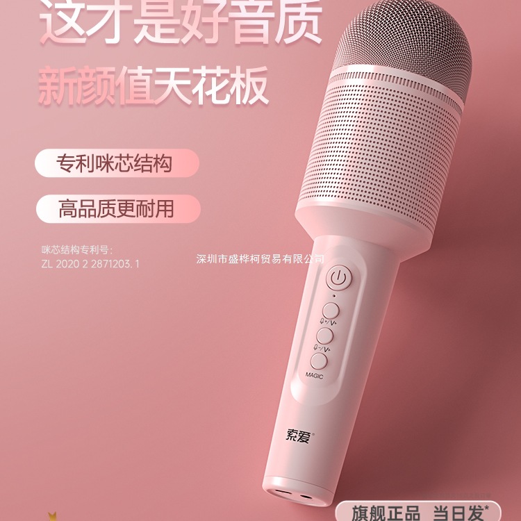 Microphone and Speaker Integrated Wireless Bluetooth Children's Singing Home Ktv Tv Karaoke Device
