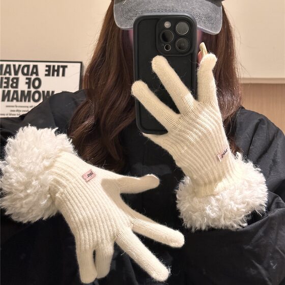 Gloves Women's Winter 2024 New Korean Style Thickened Warm Wool Knitted Finger Gloves Touchscreen Trendy Cross-border Explosions