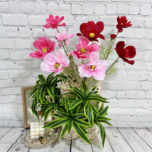 �羳���滨�鼆Ӱ�Ǳ����bٻ���ɣ���zӰ���߲廨�b[������