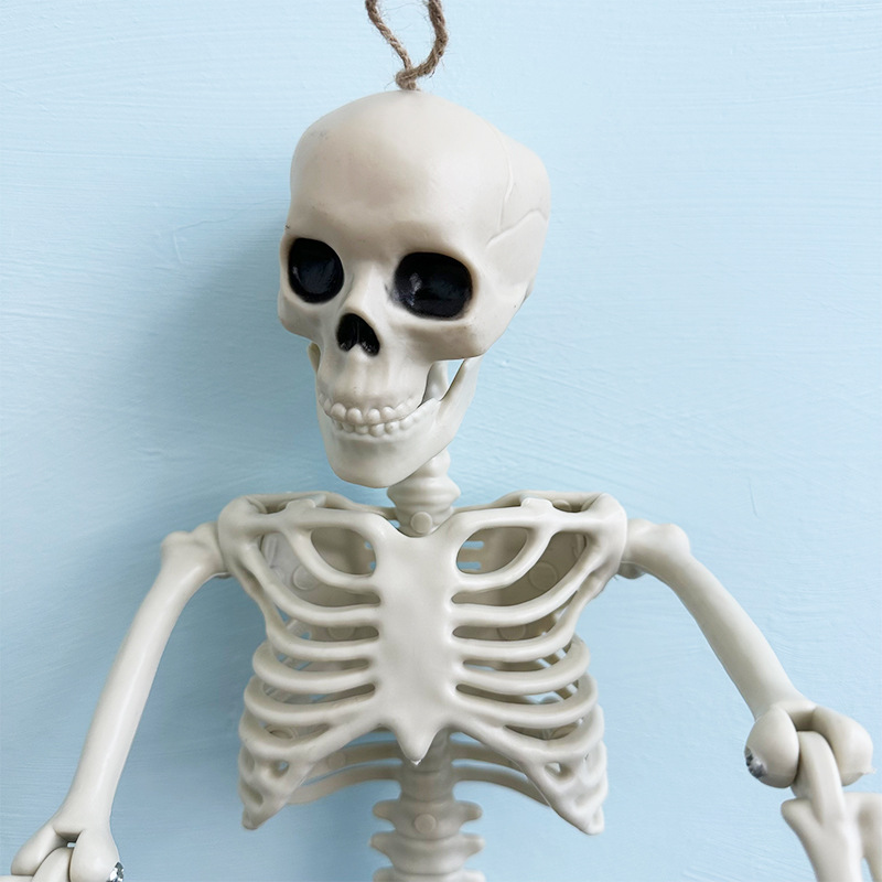 Helovīna simulācijas skeleta apdares kulonu butaforijas plastmasas cilvēka galvaskausa skelets var stāvēt locītavu kustīgs skelets_voghion.com