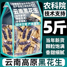 2025��؛��Ϻڻ�������������Ȼ�����Ƥ�����Թ����e��؛��ʳ