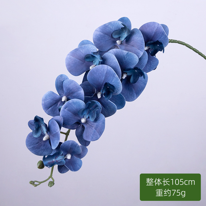 9 orquídeas de mariposa (azul oscuro)