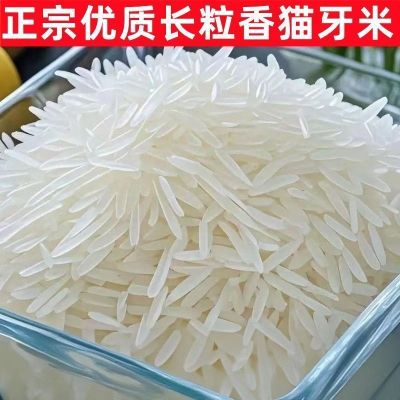 2025 New Authentic Cat Tooth Rice Long Grain Extra Long Rice Fragrant Fresh Rice Long Strip Rice for Claypot Rice