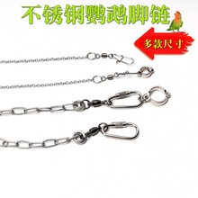 Parrot Stand Stainless Steel Ankle Chain Tiger鹦鹉站架1