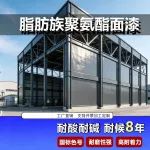 脂肪族聚氨酯面漆户外钢结构保色防腐耐候耐酸碱基建工程防护涂料