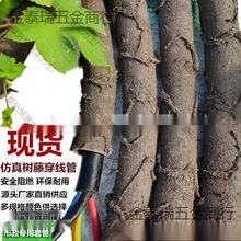 ���ϸɘ�֦늾����@��ľ���ٗl�bܷ�Ƥ������Ę��ٴ�����