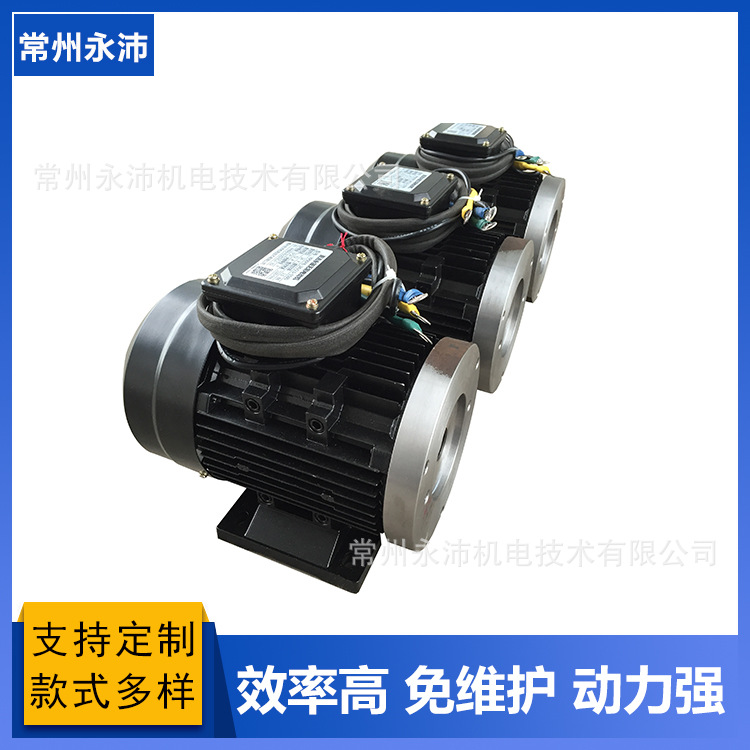 YP90PC YP80PC YP90 YP100 YP112 YP直流无刷电机 永磁免维护