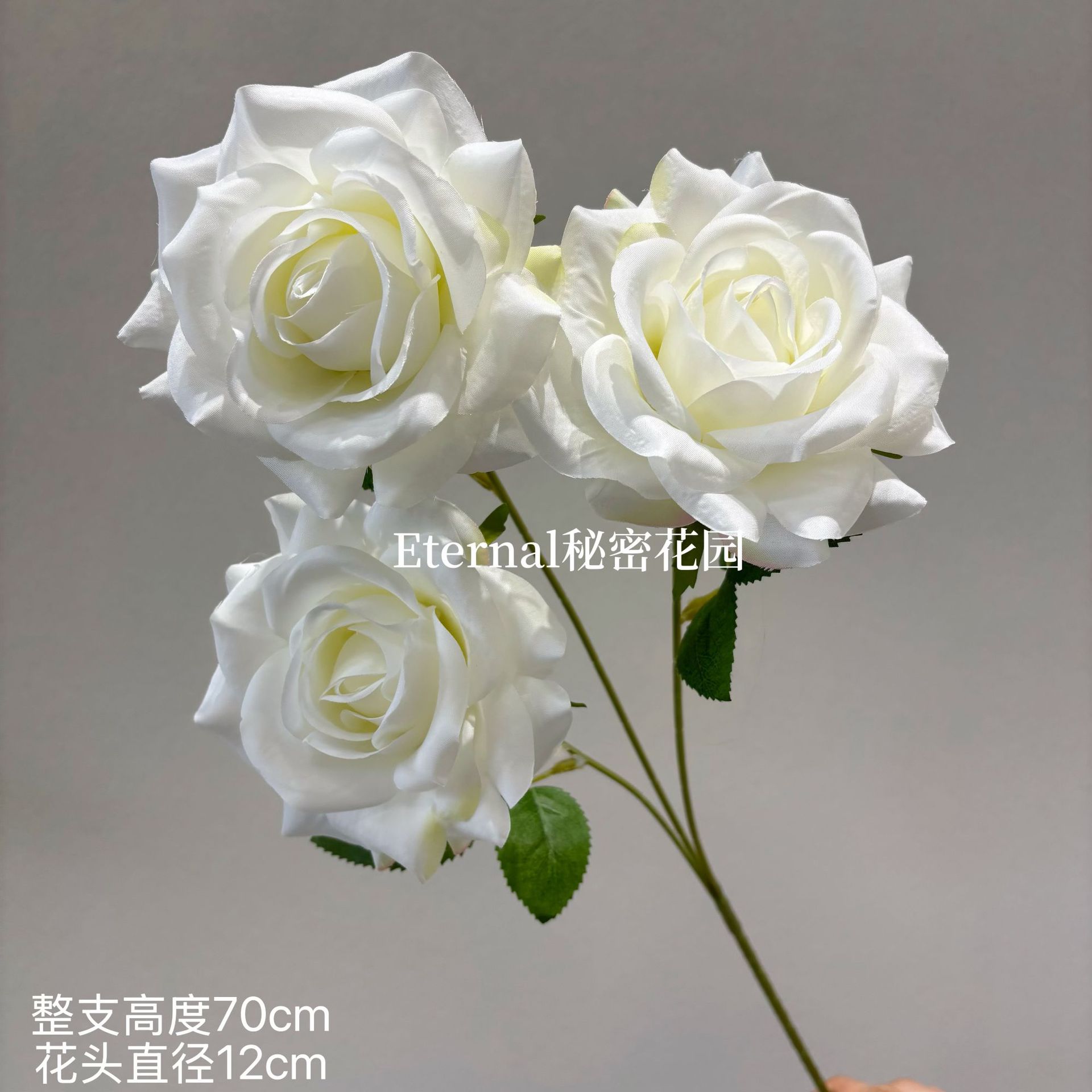 설산 장미