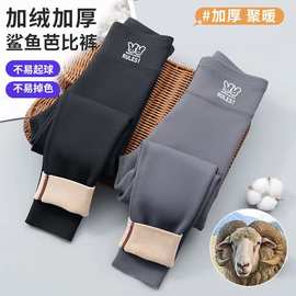 全新秋冬款女童芭比裤加绒中大女孩薄绒款鲨鱼裤宝宝加厚打底裤男