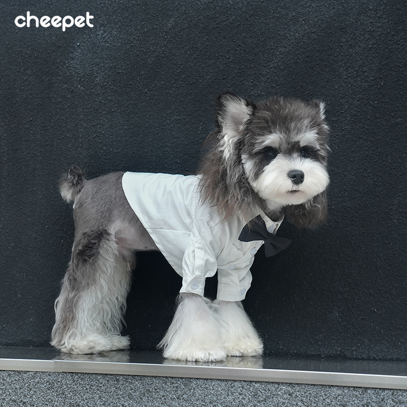 Pet four -seasons pure white tie shirt Shineri Malzis dog festival official lapel two leg dresses 3