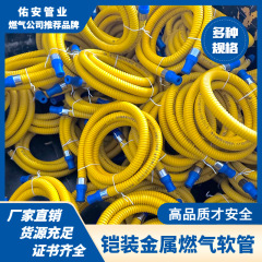 装甲ガス管ホース ステンレス波形管 ガス・天然ガス・液化ガス管 ガスコンロ管 高耐圧