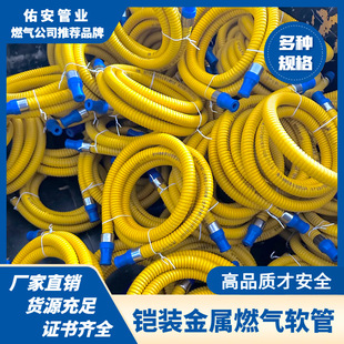 Armored Gas Pipe Hose Stainless Steel Corrugated Pipe Gas Natural Gas Liquefied Gas Pipe Gas Stove Pipe High Pressure Resistance