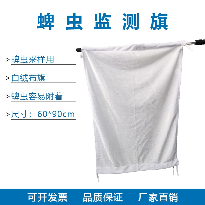 Наружный мониторинг клещей ловит флаг