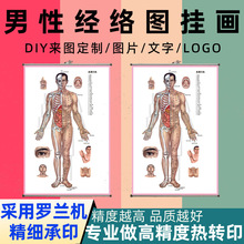 男性经络图挂画艾针灸人体经络穴位图中医养生海报装饰批发定制