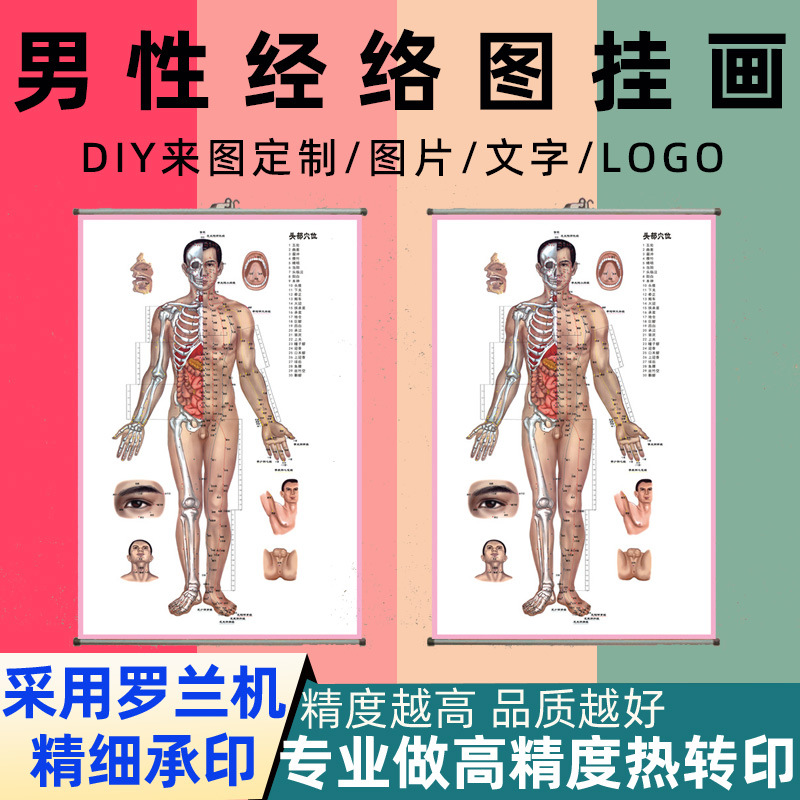 男性经络图挂画艾针灸人体经络穴位图中医养生海报装饰批发定制