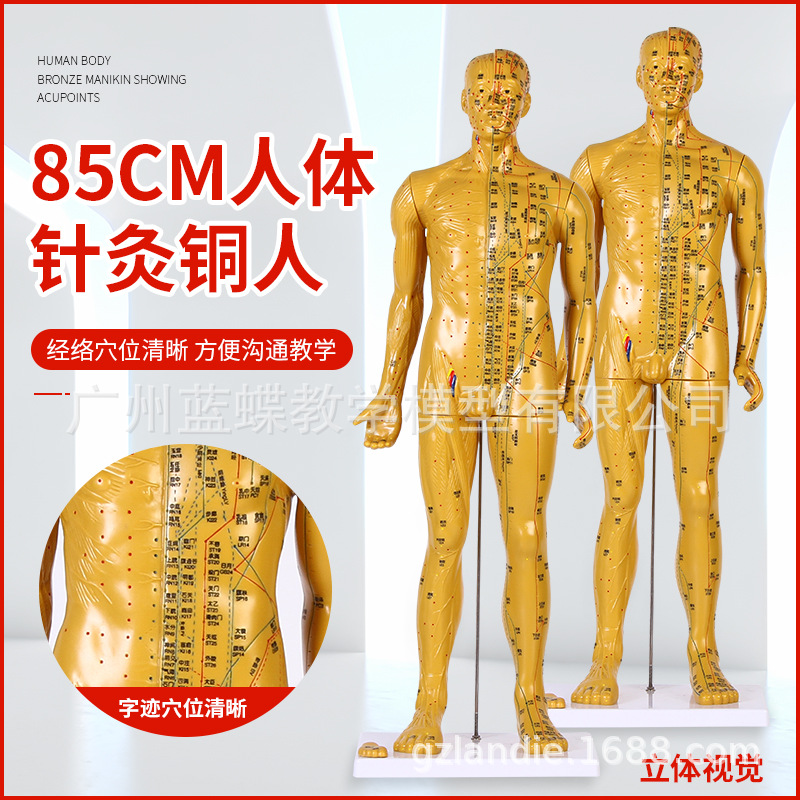 85CM���ͭ �� �������ģ�;���Ѩλ��ҽȫ��ʮ��ͭ��ģ��ͼƤ��