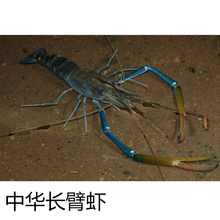 ��ˮ�r��ˮ�r�����r�L�۴����\�r���^�pʳ���r�����L�_�r