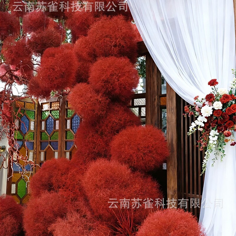 Natural Rolling Grass Dried Flowers Wedding Scene Layout Shooting Props Internet Celebrity Check-In Landscaping