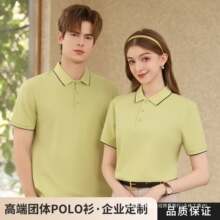 �羳���Q�Ứ�I�z���Rِ�����]�޷��IPOLO����2026�¿��ļ�͸�⌒