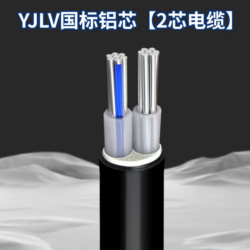 国标2芯铝芯电力电缆，足方足米，厂家直销