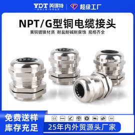 英得特 g1/2金属铜接头金属电缆防水接头铜镀镍电缆固定头填料函