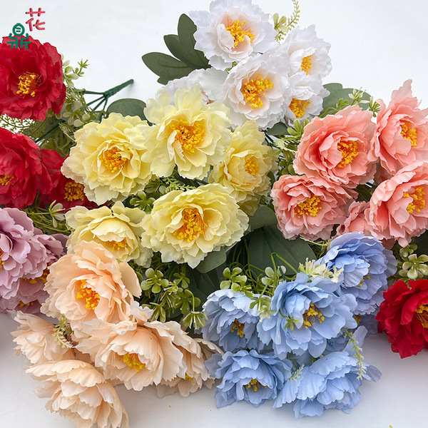 6 Bobo Peony puts the pine pine chrysanthemum commercial beauty Chen…