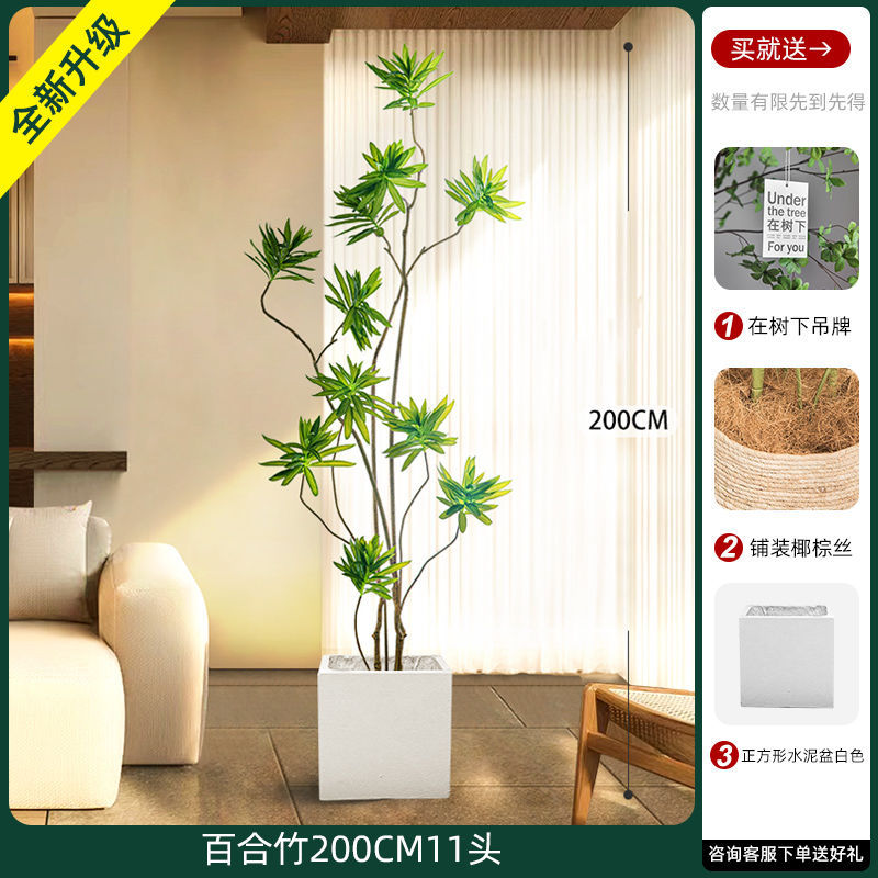 [W Ruyi Bamboo] 200CM11 chậu vuông thẳng