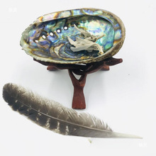 �U�~���羳�t���}ľ�ܻ��uë���b����ȼ����β��ʢ���ͶYƷ�Ĕz