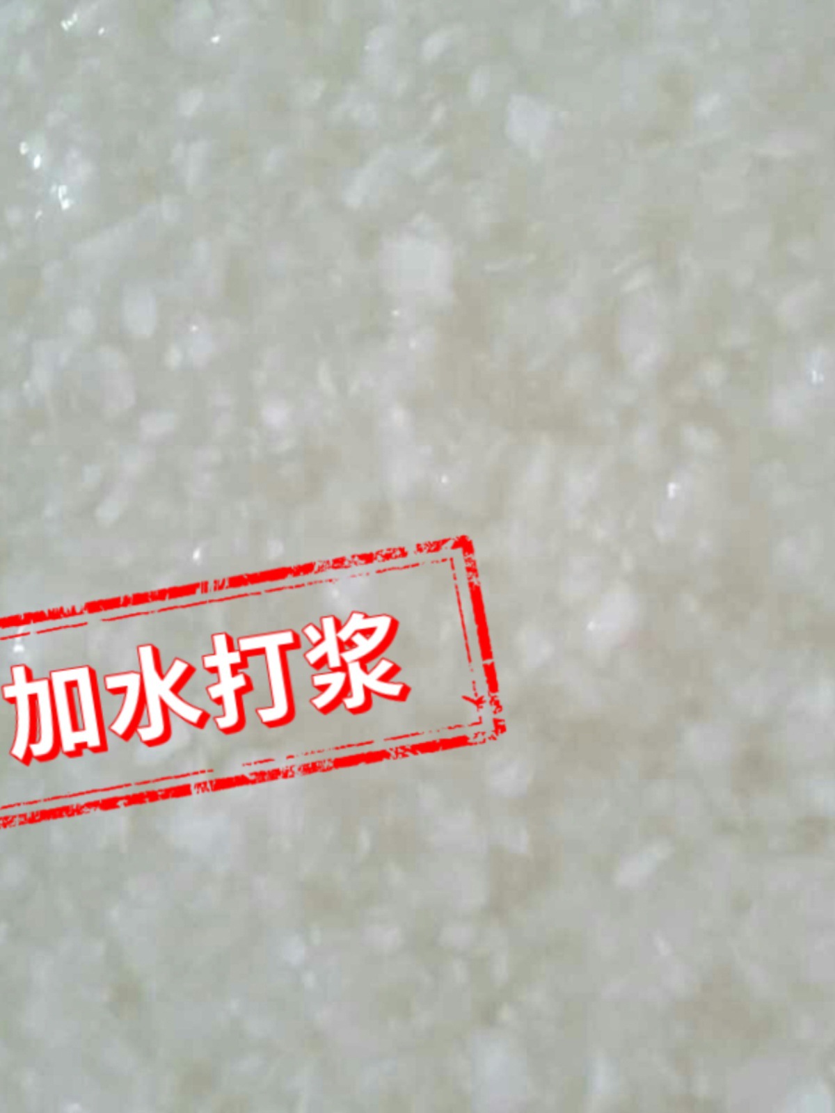 纸浆 原生木浆 木质纤维 工业造纸应 漂白针叶木浆浆板 2千克