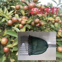 摘刺梨神器油茶果茶籽农用采摘工具山楂银杏果冬枣蓝莓韭菜花菊花