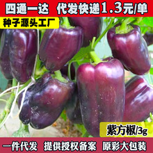 ϲ𽷷Nɫ\NѴrҲˈ@̨߲