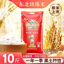 【海粮万佳】东北大米10斤珍珠米米5kg黑龙江大米2025年新大米