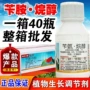 膨大生长增产水稻氨