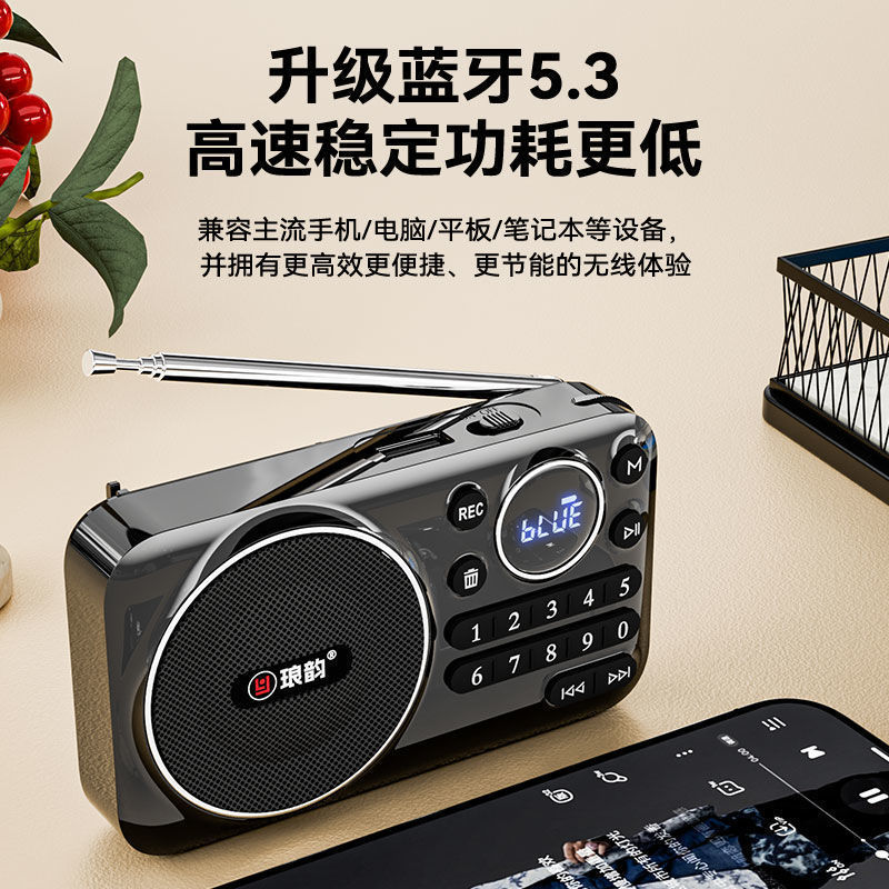 琅韵C61蓝牙插卡U盘播放器老人便携式户外随身小音箱收音机唱戏机|undefined