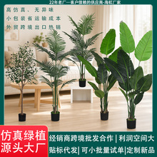 ���籱�W����Gֲɢβ�����˽������҃ȼҾ��bٻ�����