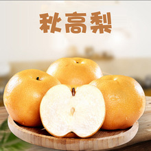 【严选】山东烟台秋高梨礼盒 代发3斤皮薄脆甜多汁甜梨子新鲜水果