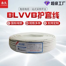 加工定制家裝電線電纜線BLVVB2芯2.5/4/6平方鋁導體護套線廠家