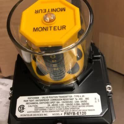 美国Moniteur阀位变送器FFNB-5420系列